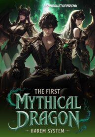 the-first-mythical-dragon-harem-system